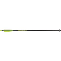 ALLEN XBOW DISCHARGE ARROW 24"