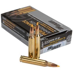 SIG 223 REM 40GR